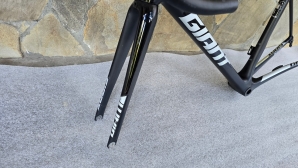 Giant TCR