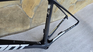Giant TCR