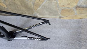 Giant TCR