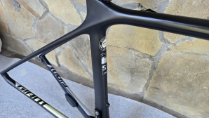 Giant TCR