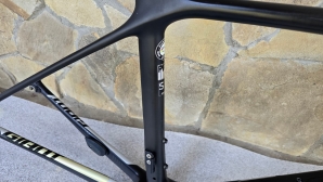 Giant TCR