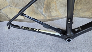Giant TCR