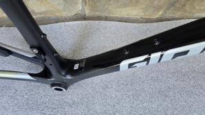 Giant TCR